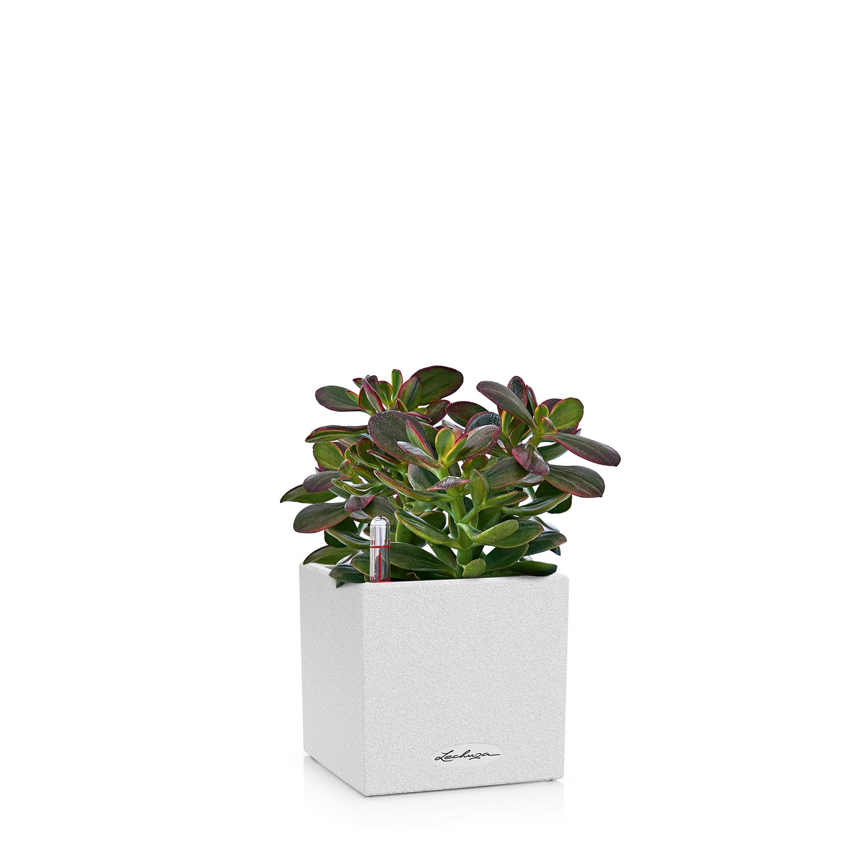 CANTO Stone 14 quartz white